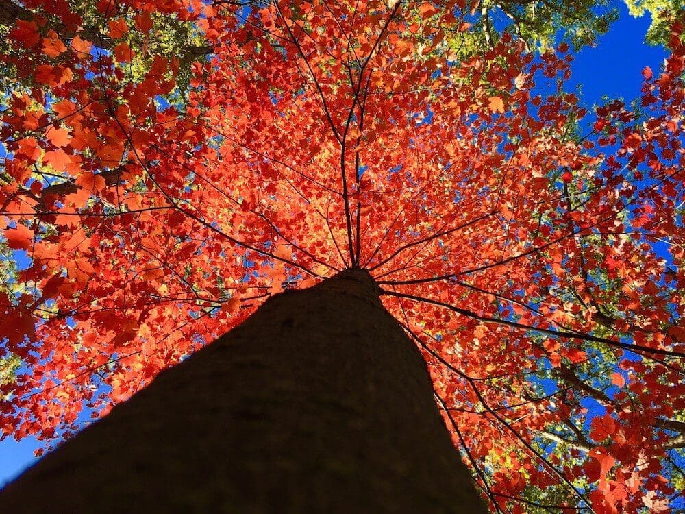 10 Tips for Comfortable Fall RVing